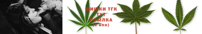 прущая мука Бородино