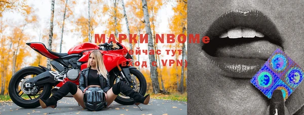 гашик Богданович
